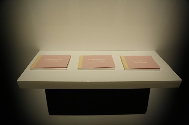 Installation documentation of My Nipples Aren't Pink in Gallery Two 
