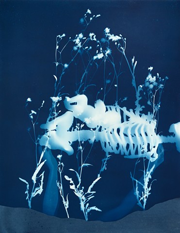 Contemporary Cyanotype Collage