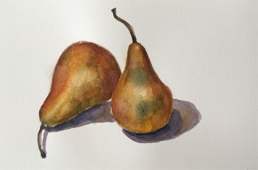 2 Yellow Pears