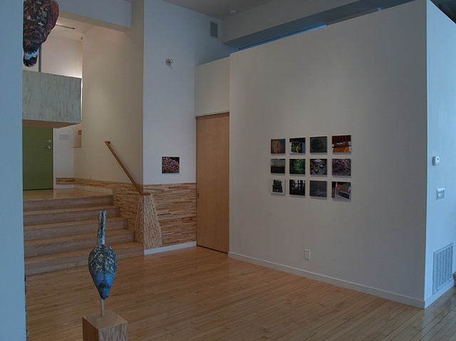 alternate installation view from Cut and Dry showing photo grid