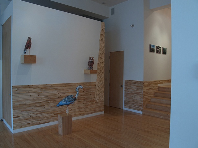 alternate installation view from Cut and Dry showing birds and shims