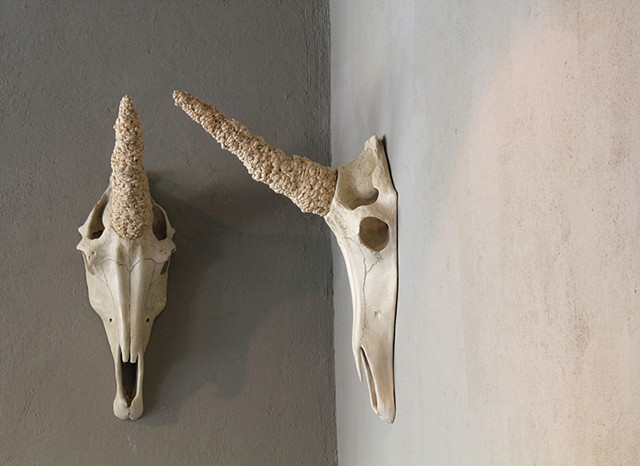2 clay sculptures by Paul March entitled Juments Dizygotes (translation: identical twin mares), resembling unicorn skulls