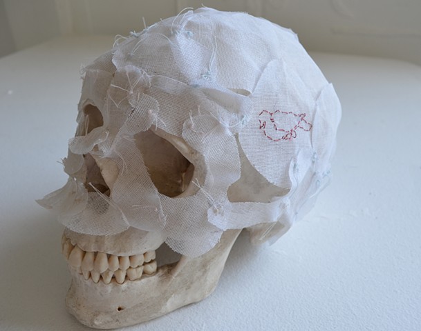 skullcap, extinction art, sculpture