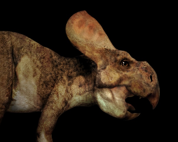 Protoceratops 