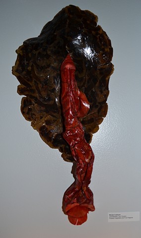 Sculpturally formed banana and fabric dyed turnip pressings. wall sculpture.