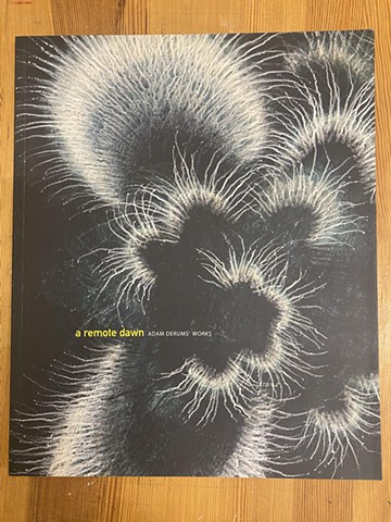 PUBLICATIONS