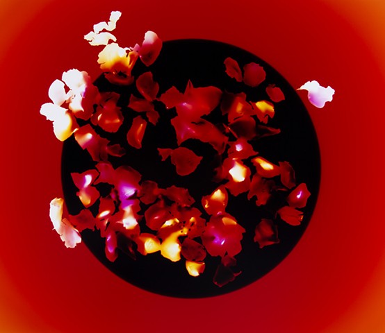 Crimson Flower Offering