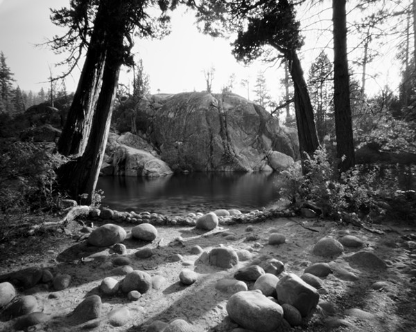 Trees And Rocks