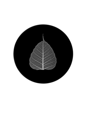 Bodhi Leaf Pluriverse