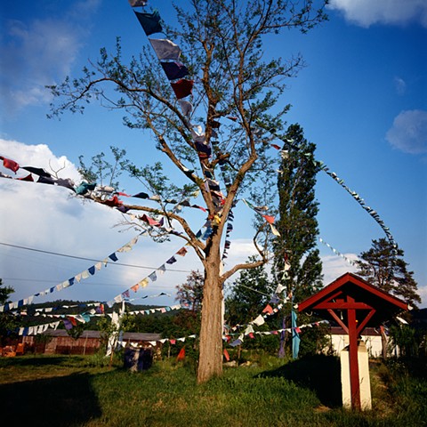 Tree and Prayer Flags, Urgyen Samye Chöling, France, 1991
