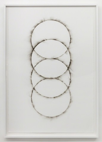 Adam David Brown, Concentric Circles