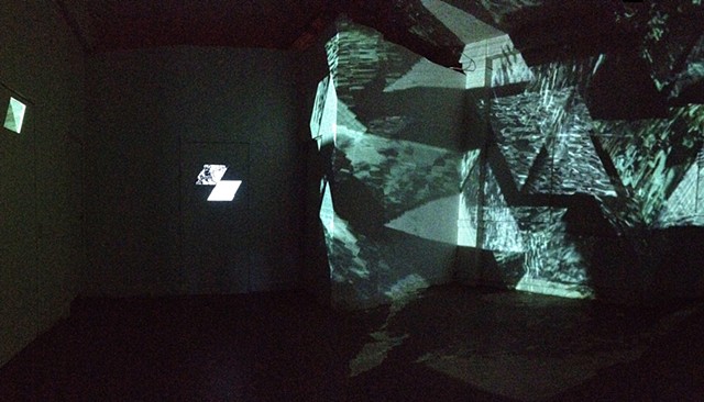 Observation of Beautiful Forms
by Megan Czekaj & Mark Geist