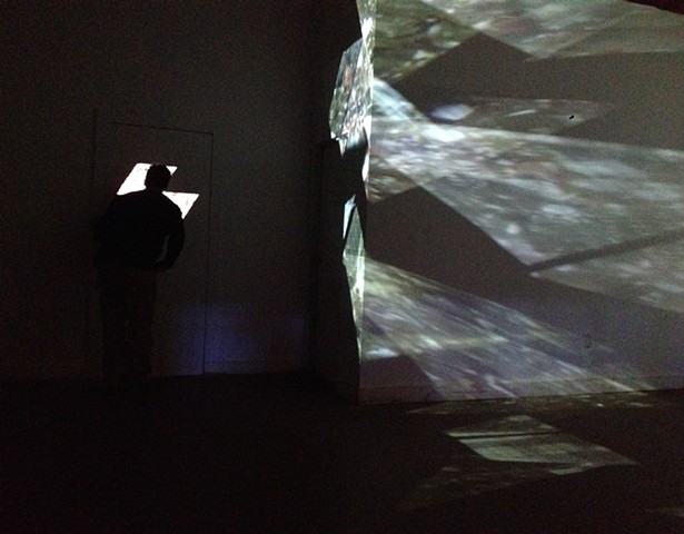 Observation of Beautiful Forms
by Megan Czekaj & Mark Geist