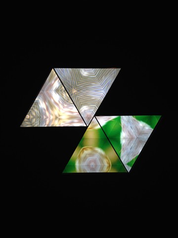 Observations of Beautiful Forms
by Megan Czekaj & Mark Geist