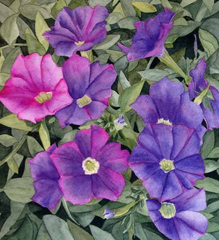 Petunias and leaves in watercolor