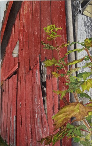 As Time Goes By Vermont Barn in watercolor