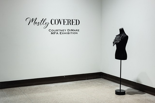 MFA Thesis Installation "Mostly Covered" 2022