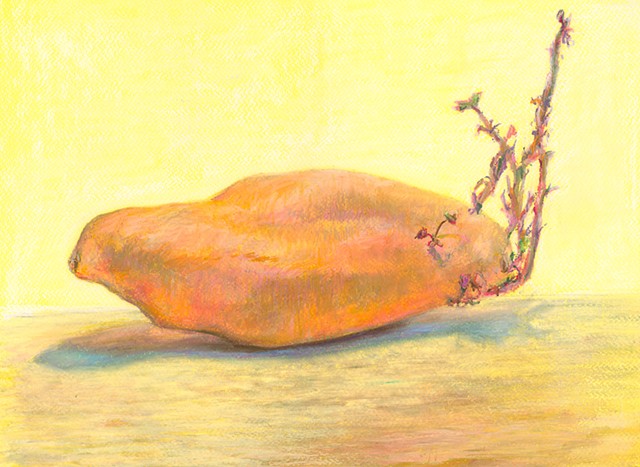 chalk soft pastel sweet potato art tuber yellow drawing