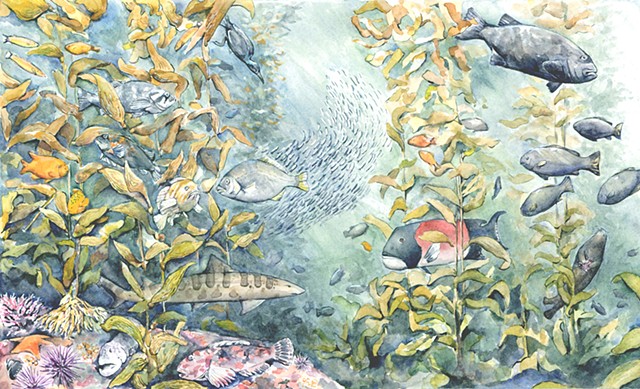 Emily Underwood kelp forest illustration