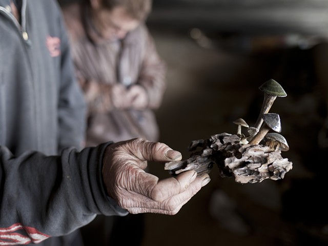 Jeff's Mushroom Sculpture (shells, bones, driftwood)
2014