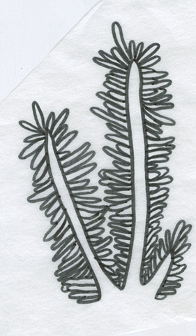 worm fern