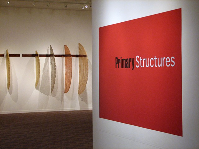 Primary Structures