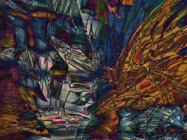 Butterflies, Computer art based off of digital altered photographs.
