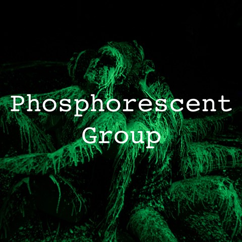 Phosphorescent Group