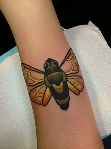 Cicada tattoo by Dave Wah