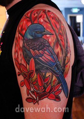grackle bird tattoo by dave wah at stay humble tattoo company in baltimore maryland