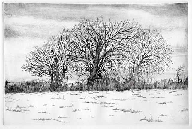 Three Winter Trees