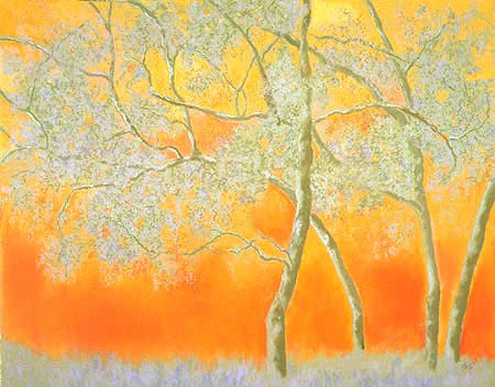 Spring Trees
Pastel
30" x 38" (sold)