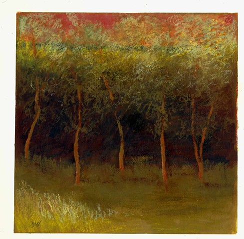 Spring Trees II
Oil Pastel on Paper
15'' x 15''