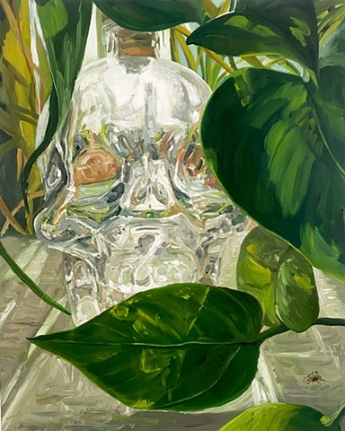 Glass Skull and Plants