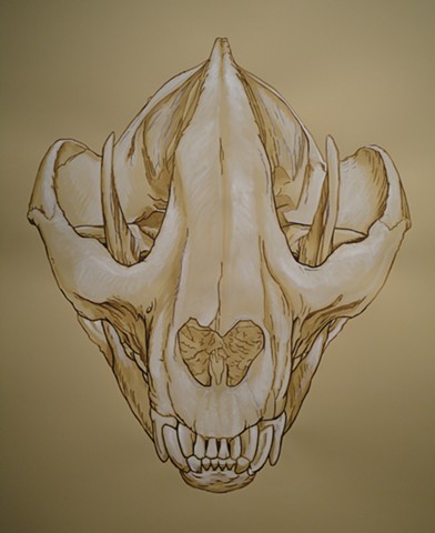 Giant Panda Skull (from the Apologies to the Future series)