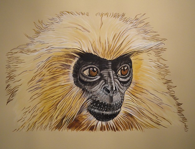 Golden Langur (from the Apologies to the Future series)