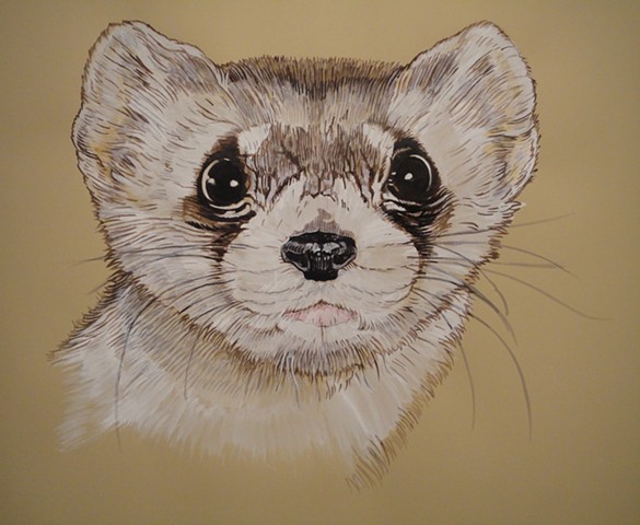 Black-Footed Ferret (from the Apologies to the Future series)