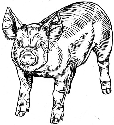 Piglet (study)