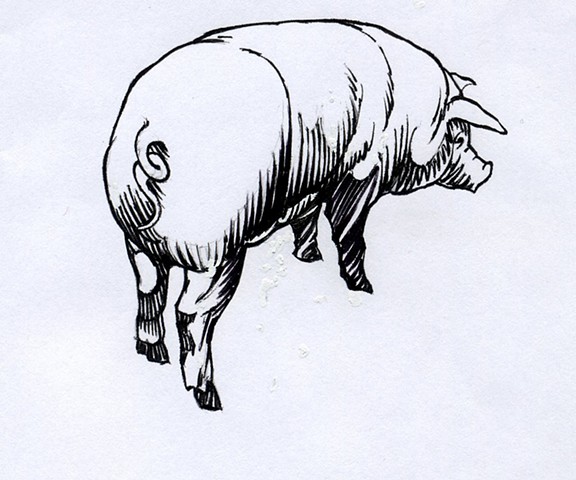 Pig (study)