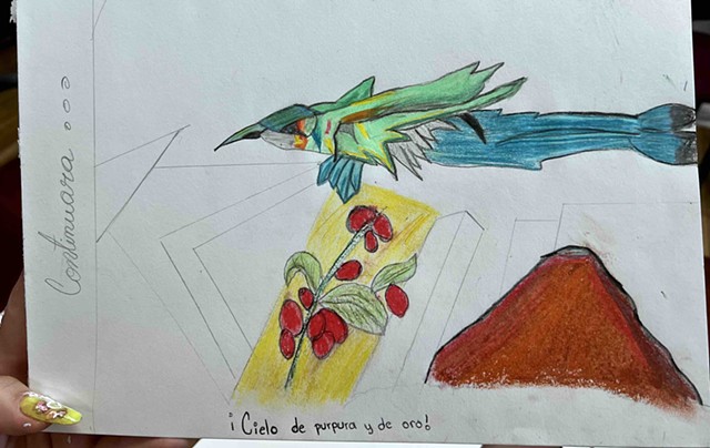 Drawing Volcano and bird in flight