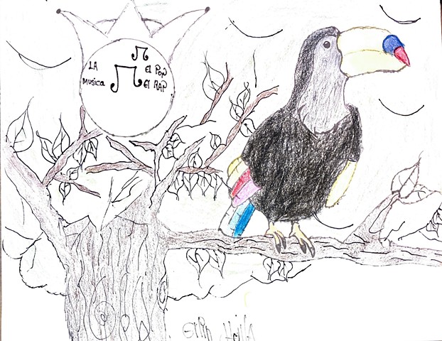Importance of Toucans and Rap in Colombian Identity