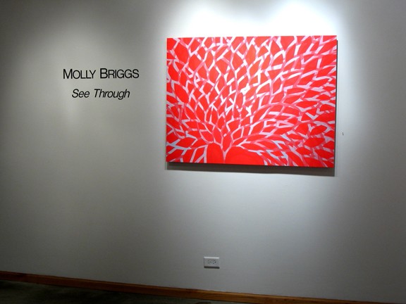 See Through Installation View -- MPT2