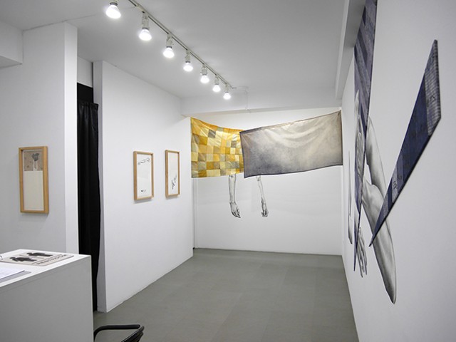 Veiled  {Installation View}