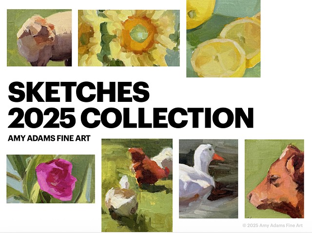 2025 Sketches Collection