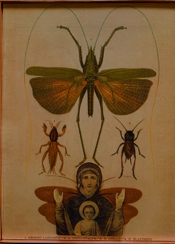 Encaustic Collage of antique prints by Flora Calabrese