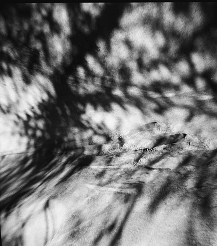 climbing for the light, Mt. Diablo