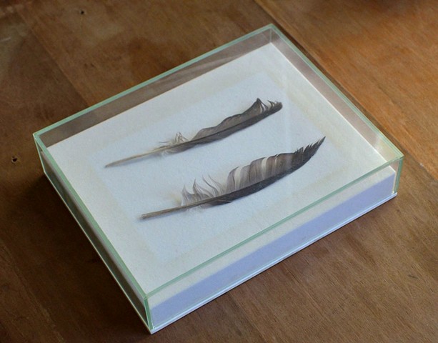 a feather worn in my shoe for a month + a feather found in the city