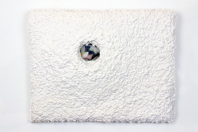 Maltese And Cottage Cheese