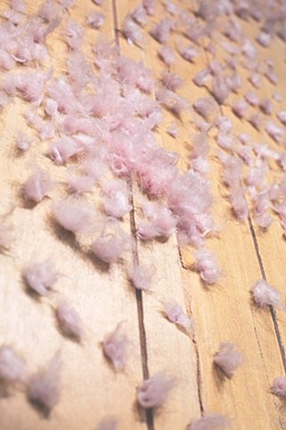 Announcing Graceful (detail)