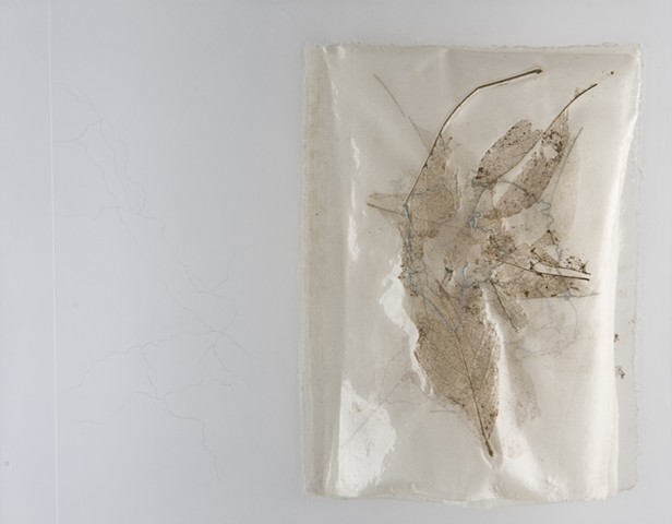 stitched skeletal leaves on silk and plexiglass